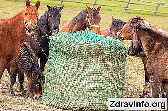 Akvalor I Akvamaris W Zatoki Korzyści z używania narkotyków akvalor i akvamaris w zatoki