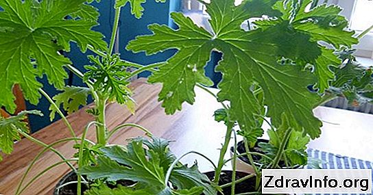 Czy Pacjent Cierpi Na Zapalenie Zatok I Przez Ile Dni? Jak leczy się zapalenie zatok w szpitalu i jakie są odniesienia?