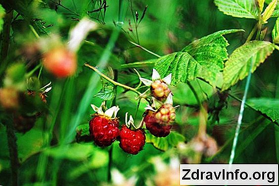 Czego Nie Mo偶na Zrobi膰 Z Genyantritis? Co jest przeciwwskazane w przypadku zapalenia genyantritis?
