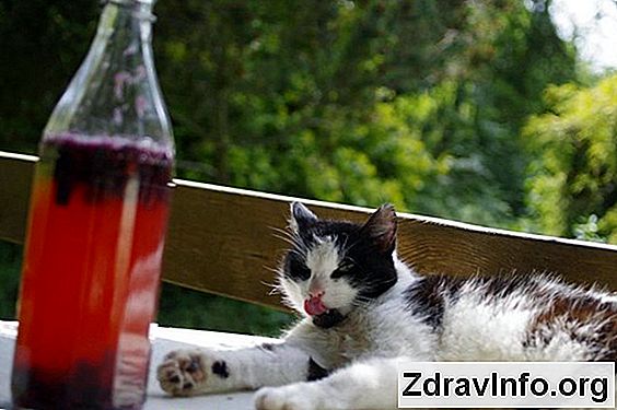 Po Zapaleniu Zatok, Nie By艂o Zmys艂u W臋chu, Co Robi膰? Dlaczego zdolno艣膰 zapachu znika wraz z zapaleniem zatok?