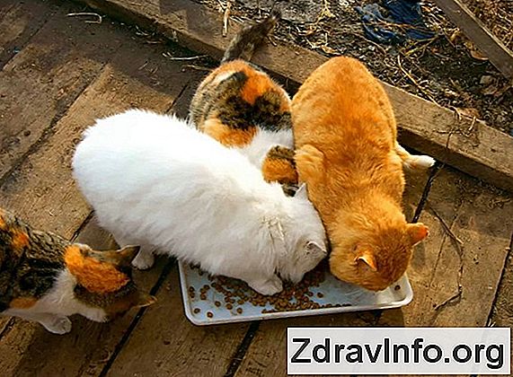 Przewlekłe Zapalenie Zatok Przynosowych: Objawy I Leczenie Objawy i leczenie przewlekłego zapalenia zatok przynosowych