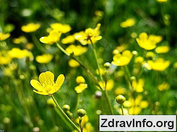 Antybiotyki Do Zapalenia Ucha 艢rodkowego U Dzieci I Doros艂ych, Wa偶nych Zalece艅 Przegl膮daj popularne antybiotyki na zapalenie ucha