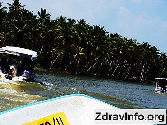 Kwas Borny Z Zapalenia Ucha I Ból Ucha Uszy leczenie borowy alkohol