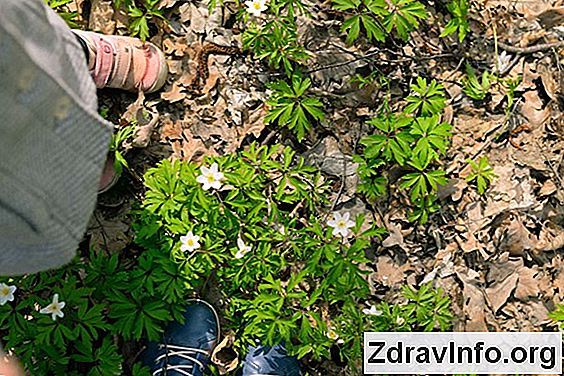 Шишка За Вухом Болить При Натисканні: Причини І Лікування За вухом з'явилася шишка і болить, як від неї позбутися?