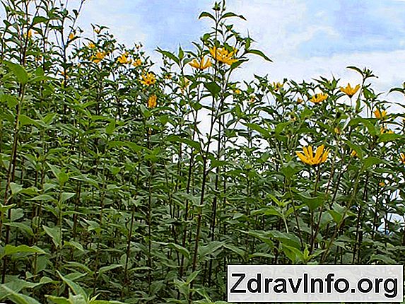 Burak Angina, Proste I Skuteczne Recepty Do Leczenia Sok buraczany na b贸l gard艂a - recepty ludowe 6