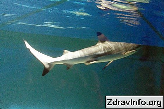 Biseptol Angina Dla Doros艂ych I Dzieci Czy biseptol jest u偶yteczny w przypadkach dusznicy bolesnej?
