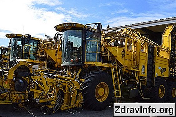 Буряк Від Ангіни, Прості Та Ефективні Рецепти Для Лікування Буряковий сік при ангіні - 6 народних рецептів