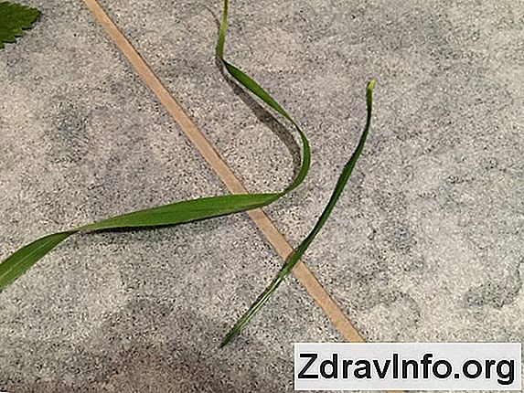 Soğuk Algınlığı Için Ne Yapmalıyım? Ne tene yakın soğuk algınlığı için yararlıdır ve hangileri değildir?