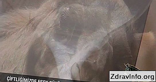 Kronik Sinüzit Nedenleri: Nedenleri, Belirtileri Ve Kronik Sinüzit Tedavisi Kronik sinüzit: arka plan ve